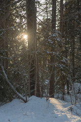 Similar image 21947593