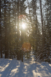 Similar image 21947595