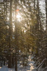 Similar image 21947598