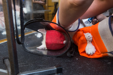 Similar image 21947599