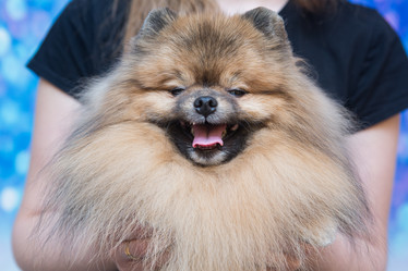 Similar image 21948072