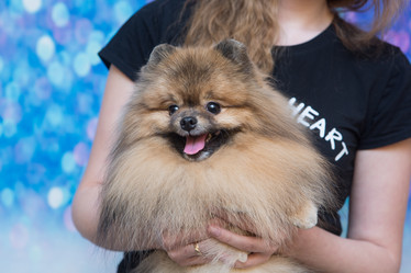 Similar image 21948073