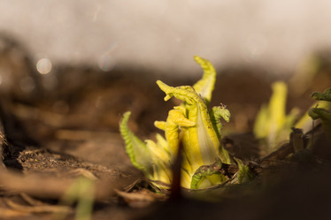 Similar image 21947123