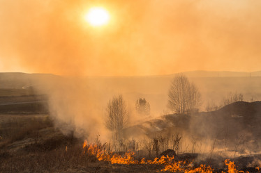 Similar image 21947124