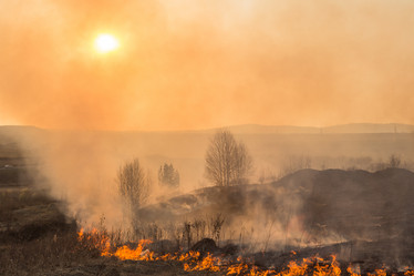 Similar image 21947126