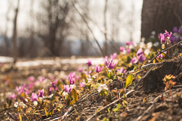 Similar image 21947127