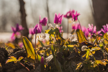 Similar image 21947129