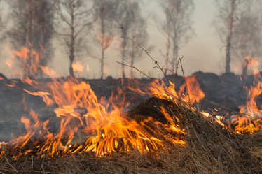 Similar image 21947130