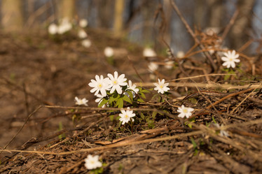 Similar image 21947131