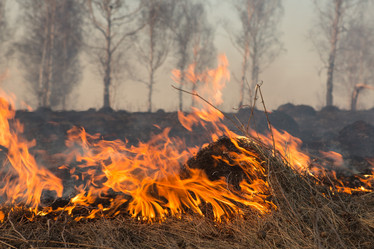 Similar image 21947132