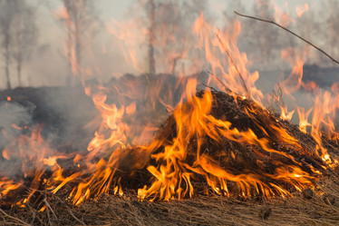 Similar image 21947134