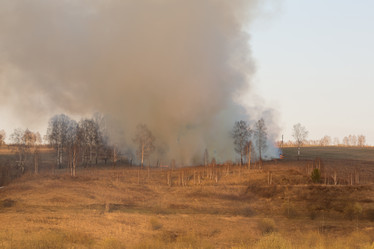 Similar image 21947135