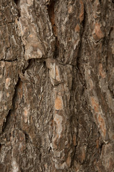 Similar image 21947357