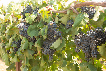 Similar image 21947603