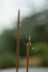 Similar image 21947606