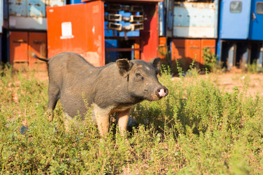 Similar image 21947608