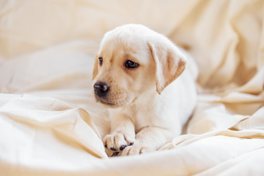 Similar image 21934385