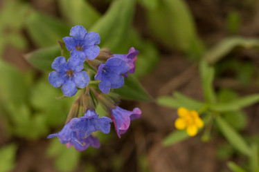 Similar image 21947137