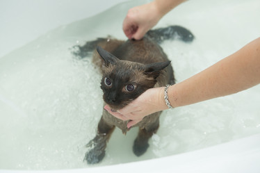 Similar image 21947140