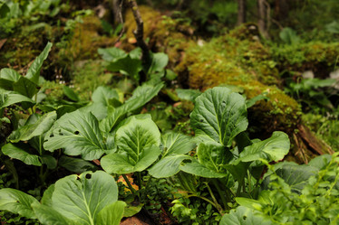 Similar image 21947143