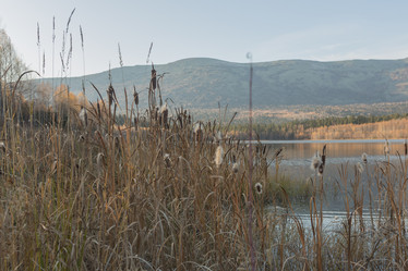 Similar image 21947145