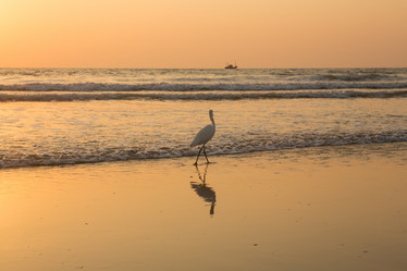 Similar image 21947369