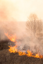 Similar image 21947793