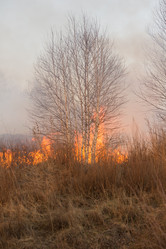 Similar image 21947794