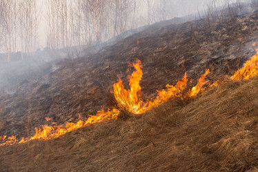 Similar image 21947795