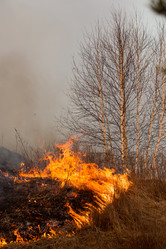 Similar image 21947796