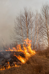 Similar image 21947798