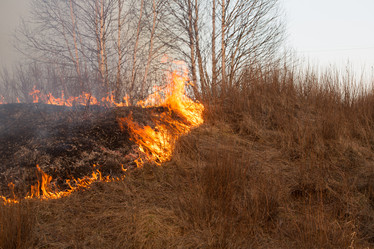 Similar image 21948076