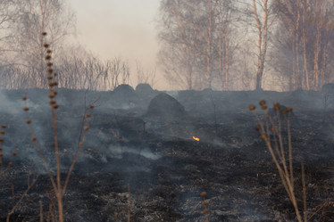 Similar image 21948078