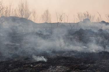 Similar image 21948079