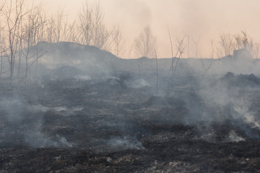 Similar image 21948080