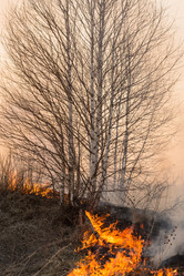 Similar image 21948081