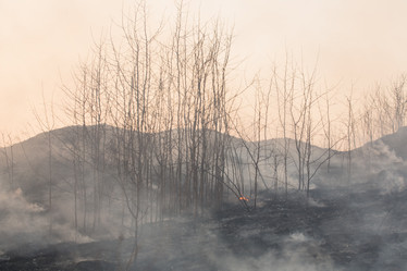 Similar image 21948082