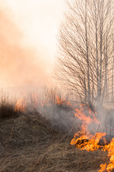 Similar image 21948083