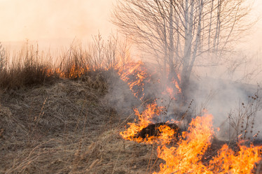 Similar image 21948086