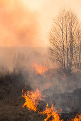 Similar image 21948088