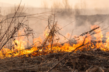 Similar image 21948089