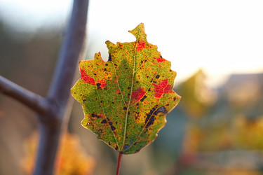 Similar image 21934258