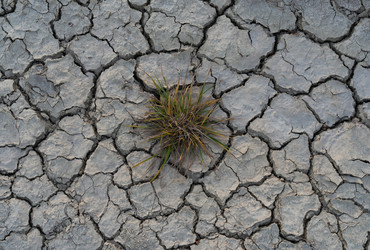 Similar image 21917210