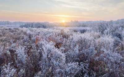 Similar image 21917213