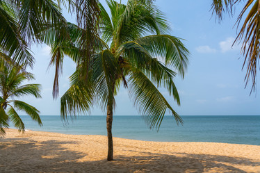 Similar image 21917226