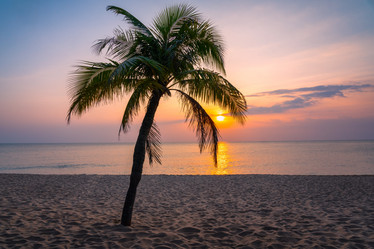 Similar image 21917227