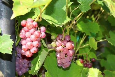 Similar image 21917031