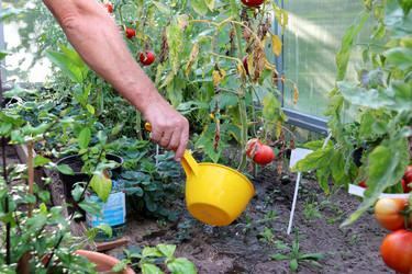 Similar image 21933682