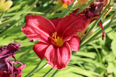 Similar image 21917033