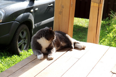 Similar image 21917036